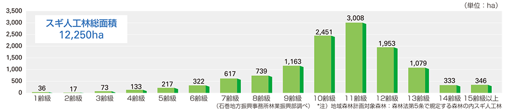 スギ人口林齢級別面積（石巻管内）